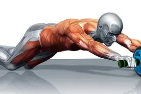 一个健腹轮等于半个健身房，提高核心，但想用好是有诀窍的图片