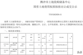 腾冲迎一陕企连续圈地273亩！住宅地单价从280万/亩涨至420万/亩图片