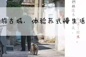 名人故里/许州游玩攻略/许可馨故里图片