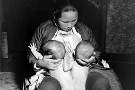 1947年上海老照片，“连体婴儿”展览事件始末图片