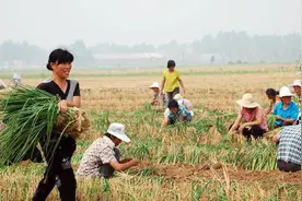 农村文化:以下5个谜语你能猜出几个？最后一个绝大多数人都想不到图片