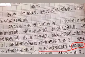 小学生作文《姑姑》走红，内容过于真实，姑姑：嫁不出去就怨你图片
