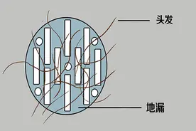 男人中年以后，脱发严重，是什么原因？图片