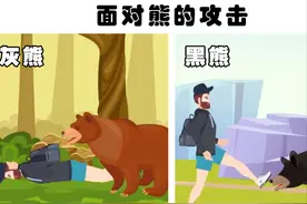 当你遇到了6种野生动物以后，帮助你生存下来的技巧图片