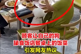 辽宁鞍山一女子在饭店吃饭，不仅让狗上桌舔食，还用筷子给狗喂食图片