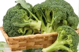 西兰花 | 被誉为“蔬菜皇冠”，健康甩肉瘦身离不开它图片