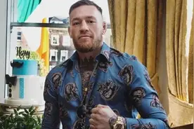 康纳净资产图片