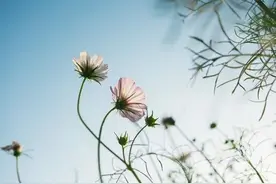 感谢曾经拥有图片