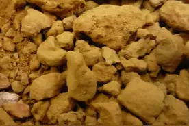 这3种兽药，农家都有，治猪牛羊病很管用，现在却在消失，遗憾图片