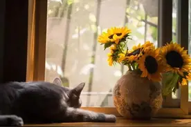 生活中，有太多的情非得已图片