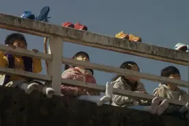 银河观点：人与其他生物的区别在哪里？图片