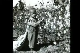 新疆棉花事件对比美国黑奴采棉花，老照片告诉你真相是什么图片