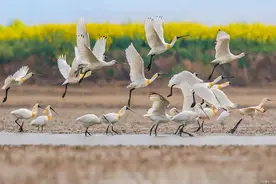 遭遇滑铁卢！盐城人口大幅减少图片