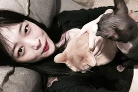 墨香铜臭又出事了？网络已经分不清真真假假，沉默是最好的回应图片