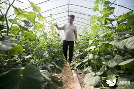 “ 亏了算我的！” 东西湖这位大哥好帅噢！图片