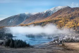 小说：先天十大灵根，排名第二的竟然是它，星辰果树图片