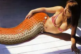 连环套历险记图片