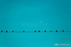 用剧毒药毒鸟，男子兜售“扁毛霜”被判刑图片