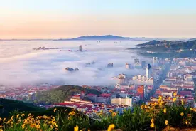 持续对标“六精”要求，聚力攻坚威海环翠区精致城市建设图片