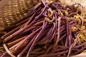 专家说蕨菜吃了会致癌，为什么农村还有很多人吃呢？