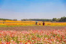 看完这份巢湖一日游攻略，我坐不住了图片