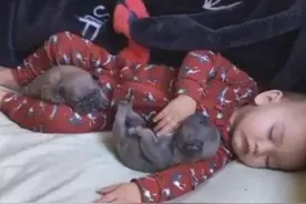 小奶狗十分爱黏宝宝，睡觉都要相拥一起，画面温馨得让家人羡慕图片
