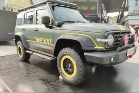 坦克300特别版实拍，长途穿越连改装都省了？图片