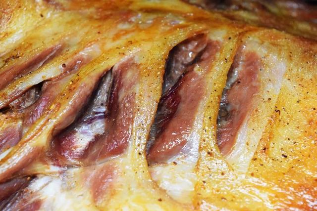 花胶可以煲羊肉吗 2026年花胶可以炖羊肉吗