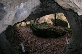 西方考古乌（造）龙（假）集锦图片