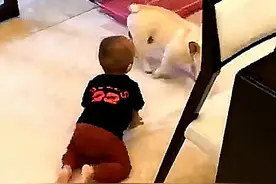 狗狗在客厅一直叫，以为被孩子欺负了，主人跑出后竟有些心疼汪了图片