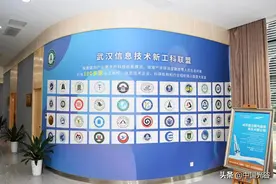 汪祥旺调研国家地球空间信息产业化基地等项目图片