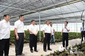 沭阳某镇农民安置房美极了，看看是你老家吗？图片