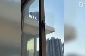 小女孩诱导朋友“跳楼”？被邻居拍下视频后恼羞成怒……图片