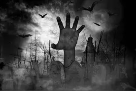 小说：他刚出生不久，就有名神秘的和尚来找他，说他是灵童转世图片