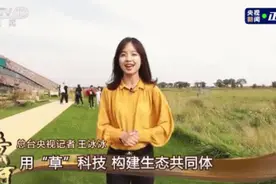 央视美女记者火了！阿拉上海的呢？来了图片