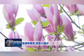 高楼映春色 美景入城中图片