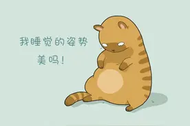 猫咪睡觉会做梦？原来猫咪的梦境和我们一样！太神奇图片