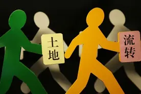 马云说“致富未来在农村”，那未来哪些人可以成为农村的致富人？图片