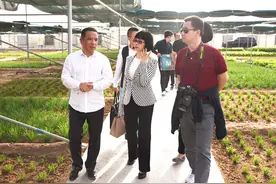 温州老板孙建省，欲在沙漠种菜，被嘲笑天方夜谭，今却供不应求图片
