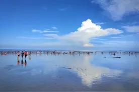 快来Get这份东山岛夏日治愈手册图片