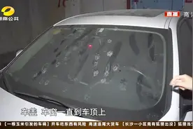 长沙一小区有狐狸出没，调查得知，狐狸竟是业主饲养的宠物！视频封面