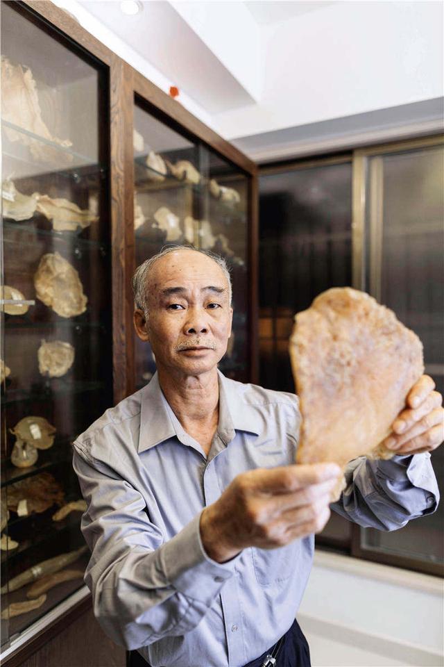 花胶50只一斤 2026年花胶才200多元一斤