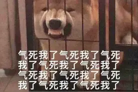 表情包：谢谢你啊，这么忙还来亲自伤害我图片