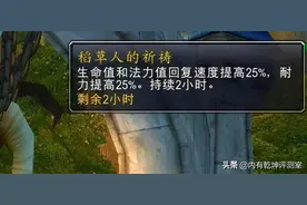 魔兽世界怀旧服：稻草人的祈祷，多数职业没啥用，仅对治疗有提升图片