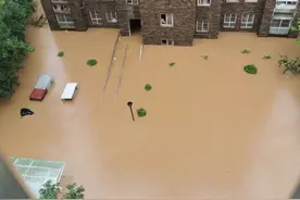 一楼被淹之后，该如何处理才能放心入住？图片