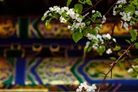 这一景点，对全国医护工作者免费！图片