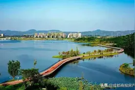 总价700万以上项目熔断！天府新区还有这些大户型要入市图片