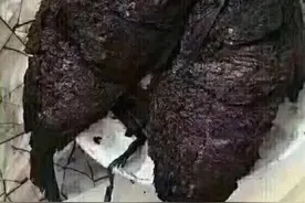 每日一笑：女朋友给我做了个红烧鱼，我可不敢吃啊图片