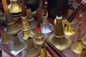 赵本山徒弟杨树林，老婆入狱后罕见晒近况，暴露豪宅内景全是唢呐图片