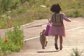 同命相连的小女孩和流浪狗，因为偶然相遇，让彼此都有了新的开始图片